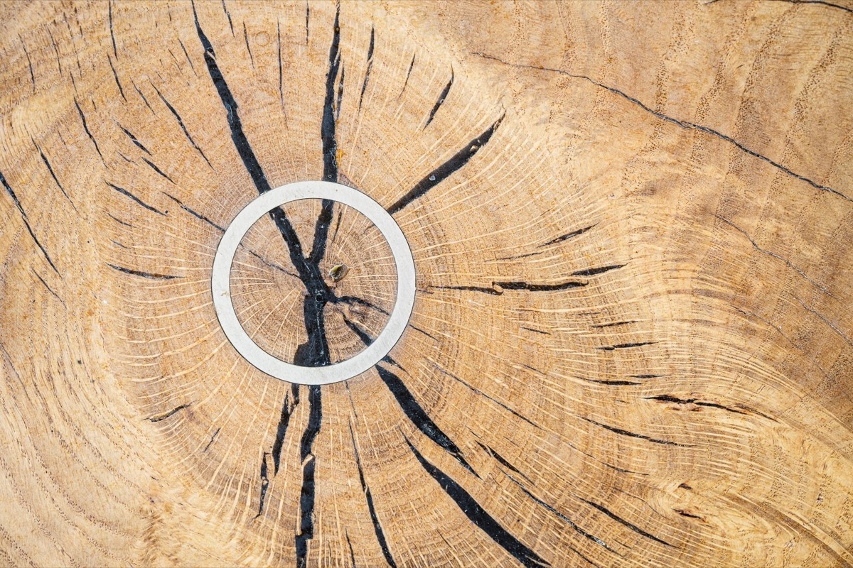Holzdetail mit Metallring als präziser Blickfang